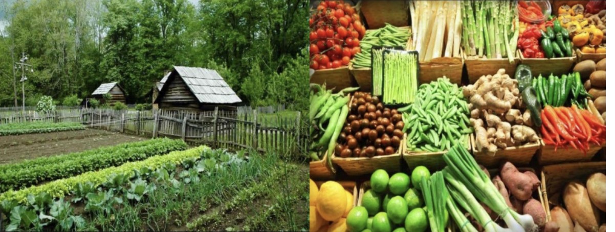 Organic Farming