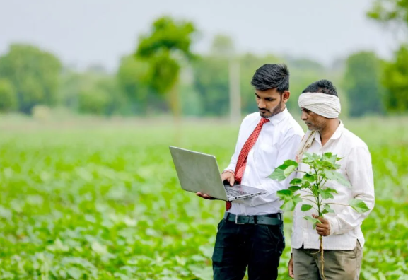 Agricultural Consultancy