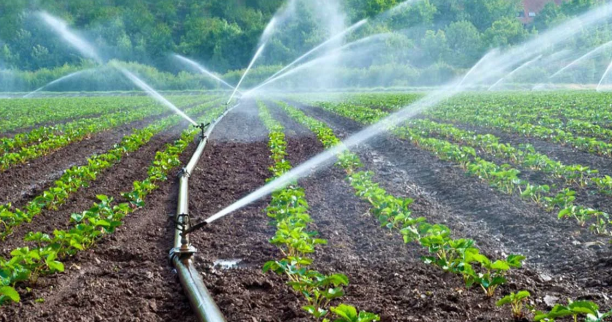 Irrigation Solutions